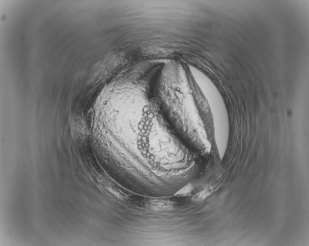 X0000058780617200510211750