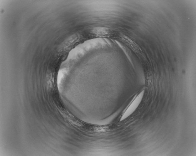 X0000058780618200510211749