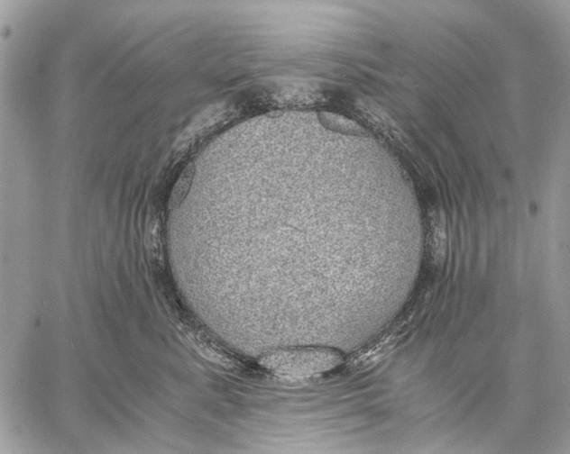 X0000058780619200510211749