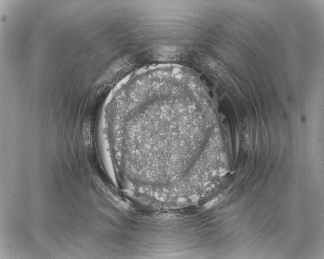 X0000058780620200510211749