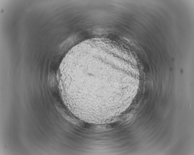 X0000058780623200510211749