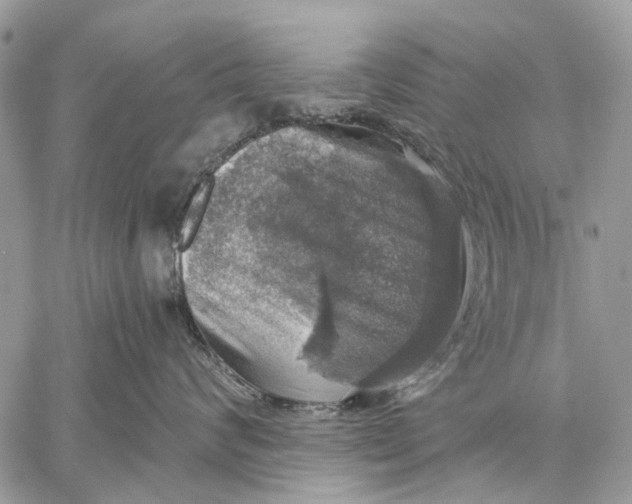 X0000058780624200510211749