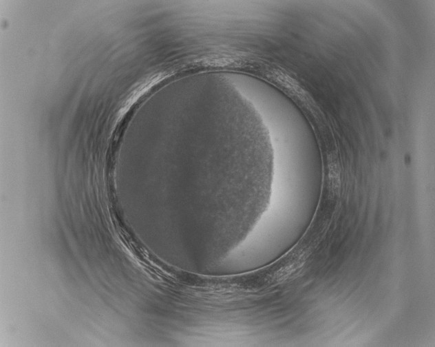 X0000058780626200510211749