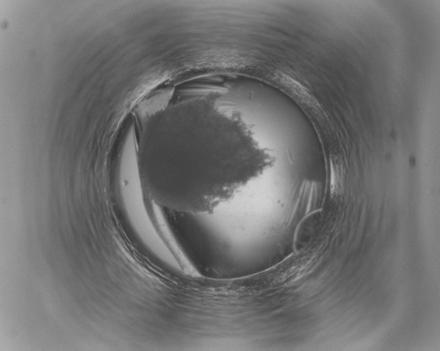 X0000058780627200510211749