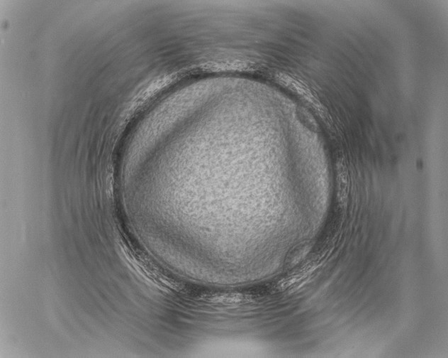 X0000058780631200510211749