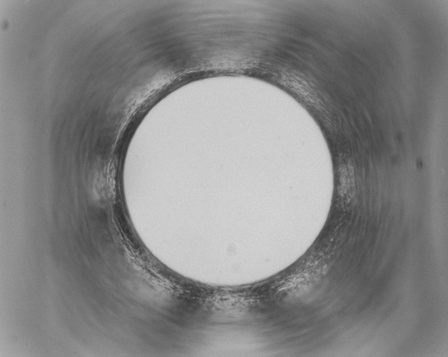 X0000058780632200510211749