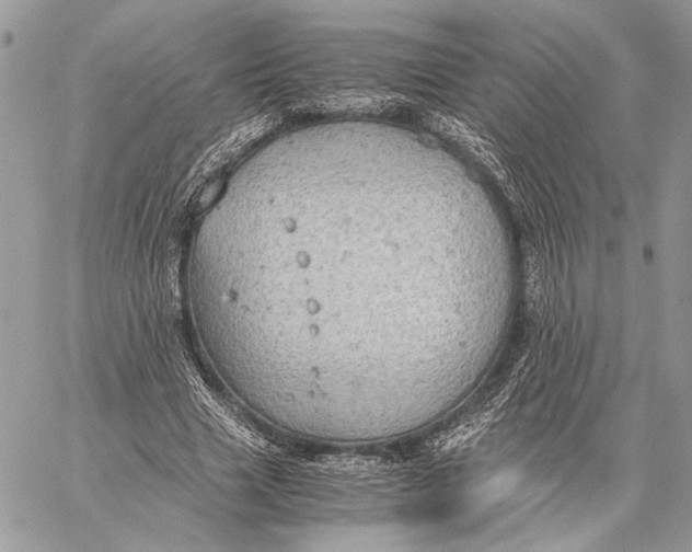 X0000058780633200510211749