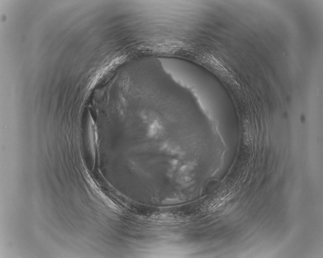 X0000058780634200510211749