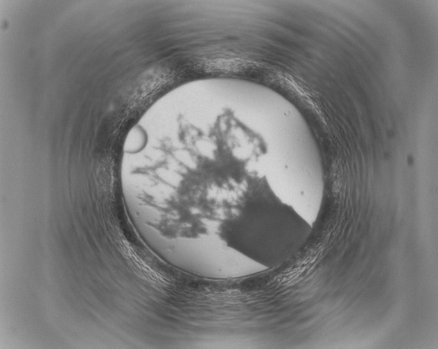 X0000058780637200510211749