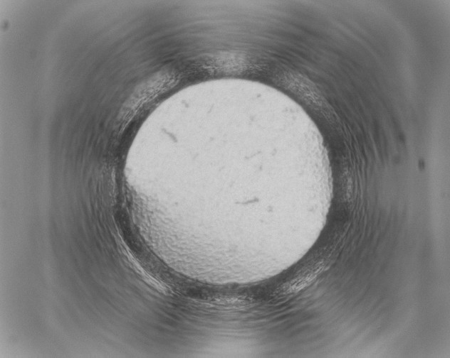 X0000058780638200510211749