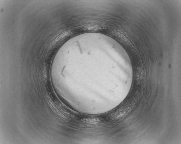 X0000058780639200510211749