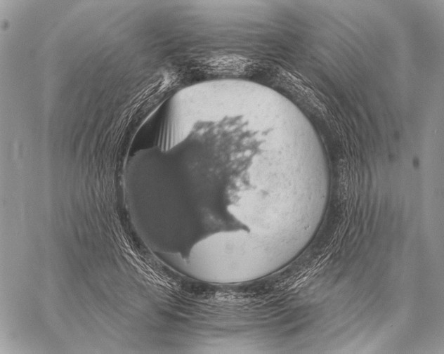 X0000058780641200510211749