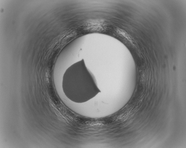 X0000058780643200510211749