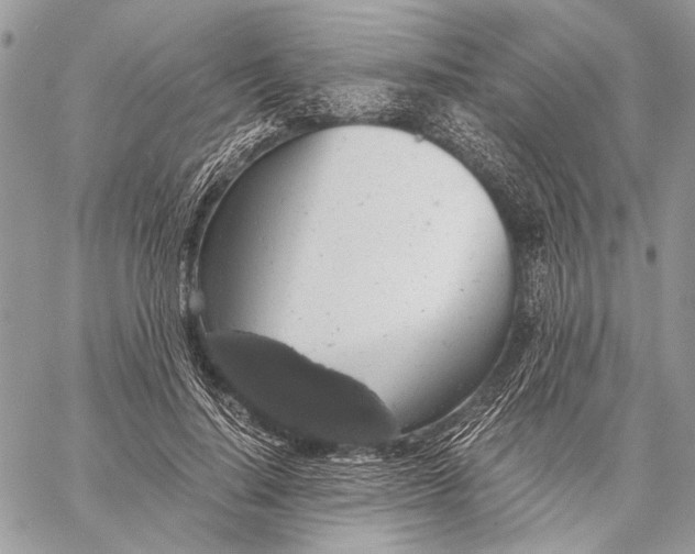 X0000058780644200510211749