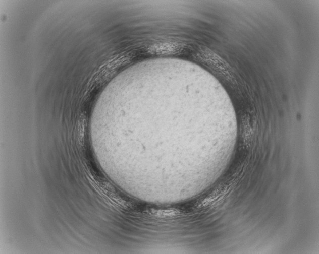 X0000058780645200510211749