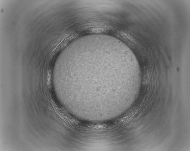 X0000058780646200510211749