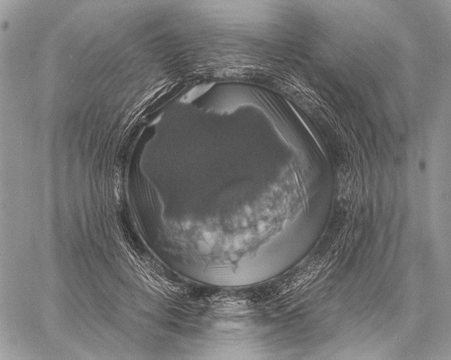 X0000058780648200510211749