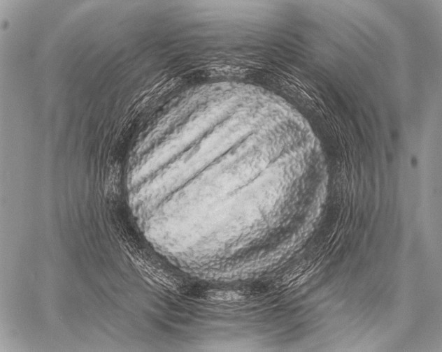 X0000058780649200510211749