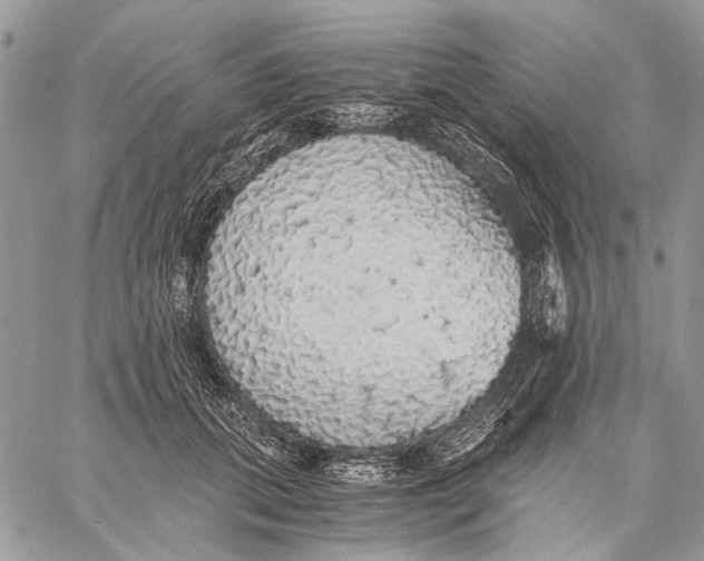 X0000058780655200510211749