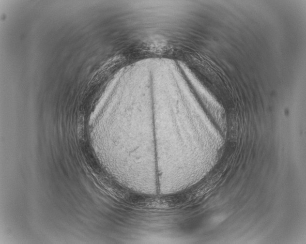 X0000058780656200510211749