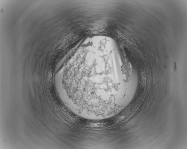 X0000058780657200510211749