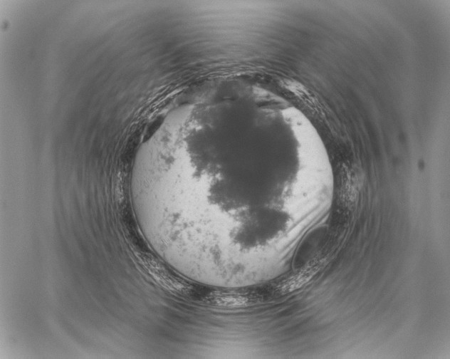 X0000058780658200510211749