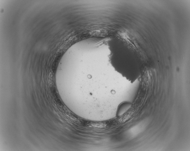 X0000058780659200510211749