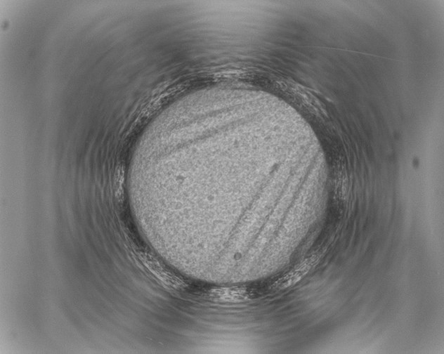 X0000058780660200510211749