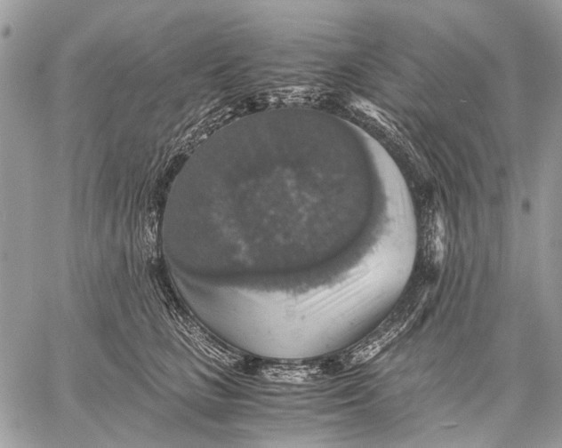 X0000058780661200510211749