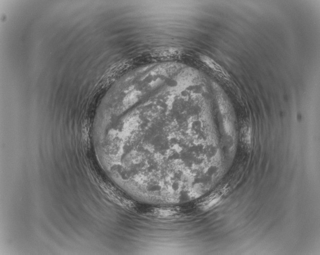 X0000058780662200510211749