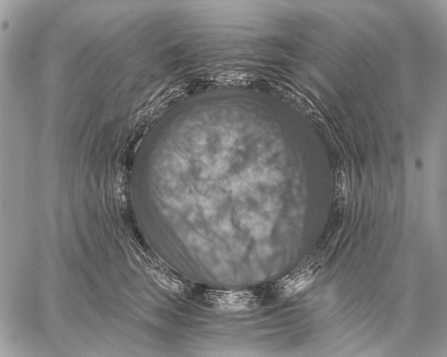 X0000058780663200510211749