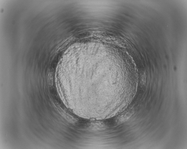 X0000058780666200510211749