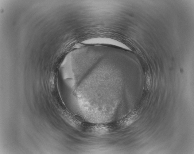 X0000058780668200510211749