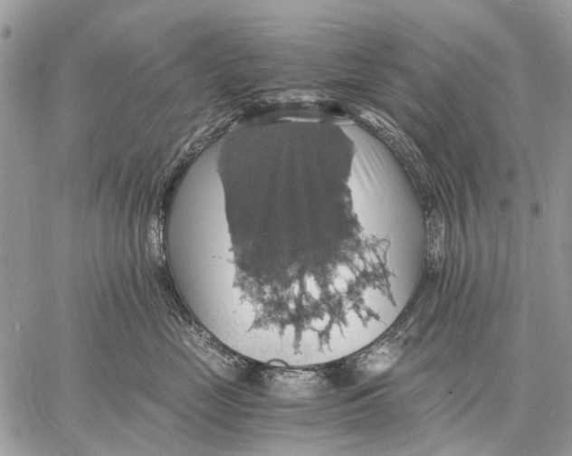 X0000058780669200510211749