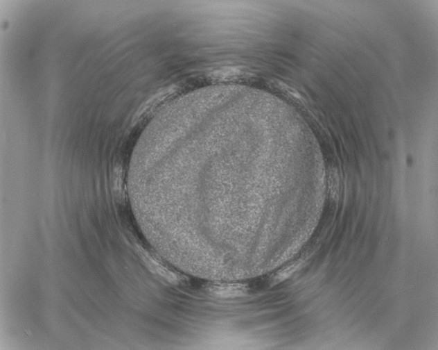 X0000058780670200510211749