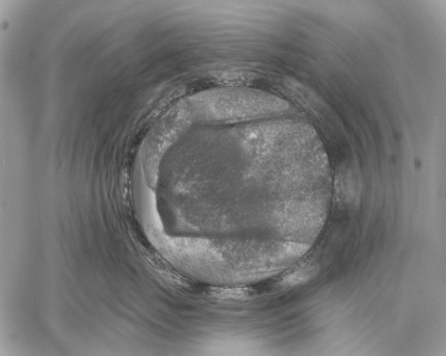 X0000058780671200510211749