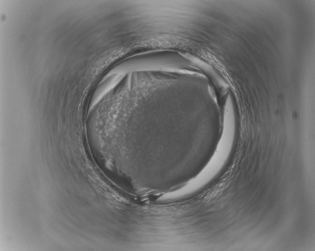 X0000058780673200510211749