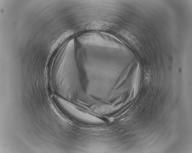 X0000058780678200510211749