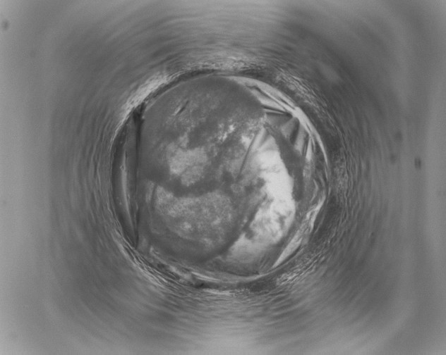 X0000058780679200510211748