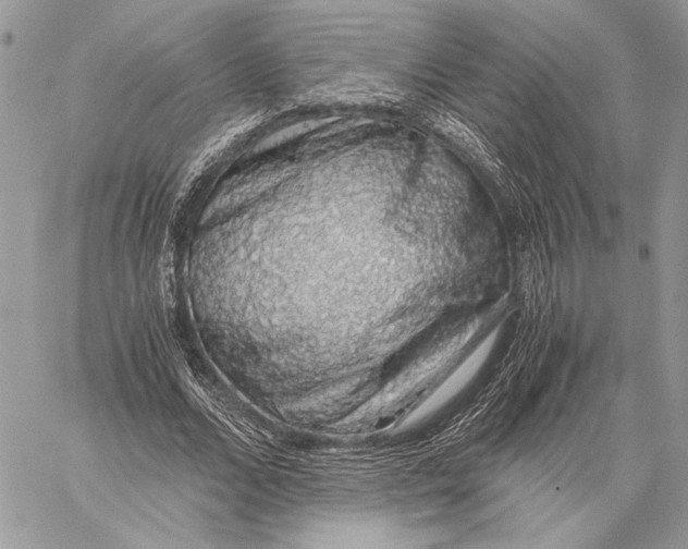 X0000058780680200510211748