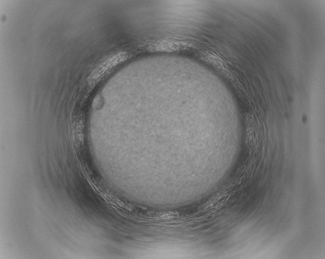 X0000058780683200510211748