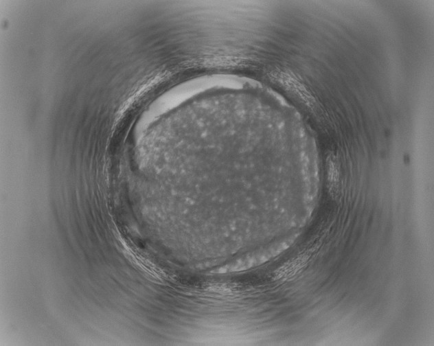 X0000058780684200510211748