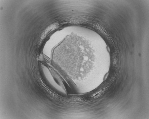 X0000058780685200510211748