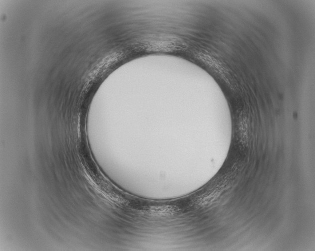 X0000058780686200510211748