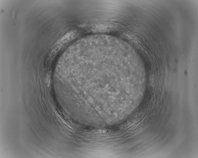 X0000058780687200510211748