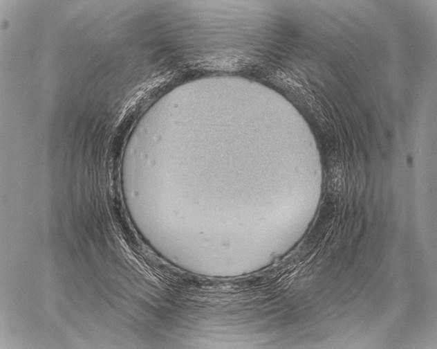 X0000058780688200510211748