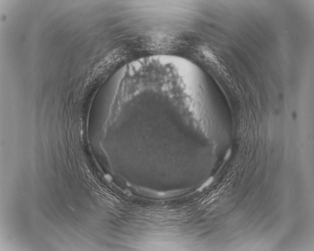 X0000058780689200510211748