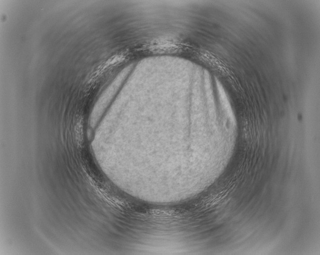 X0000058780690200510211748