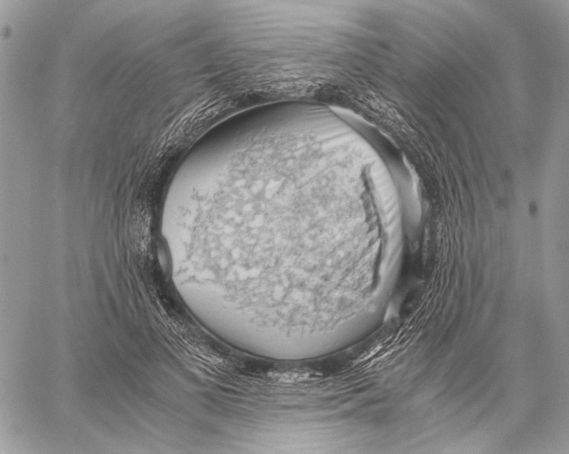 X0000058780693200510211748