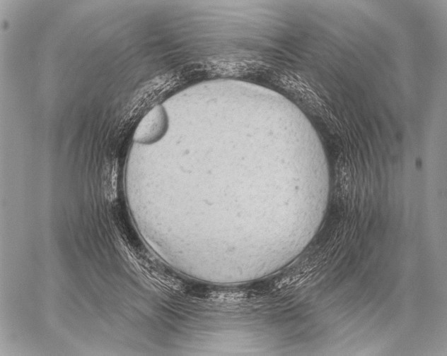 X0000058780694200510211748